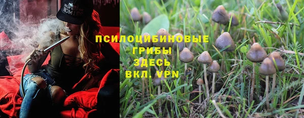 дмт Алзамай