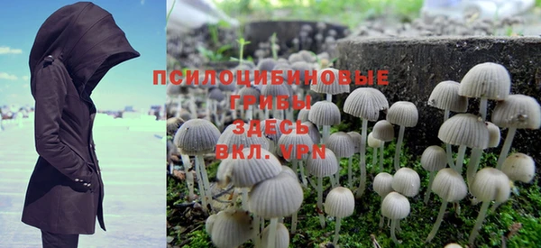 дмт Алзамай