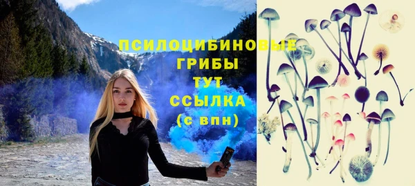 СК Алексеевка