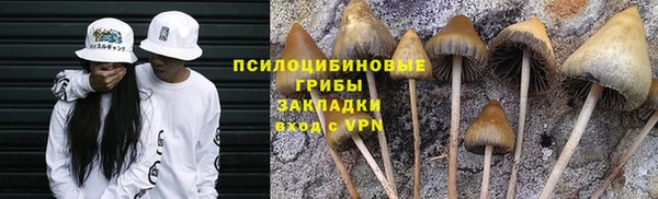 дмт Алзамай
