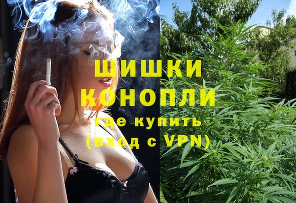 дмт Алзамай
